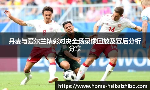 丹麦与爱尔兰精彩对决全场录像回放及赛后分析分享